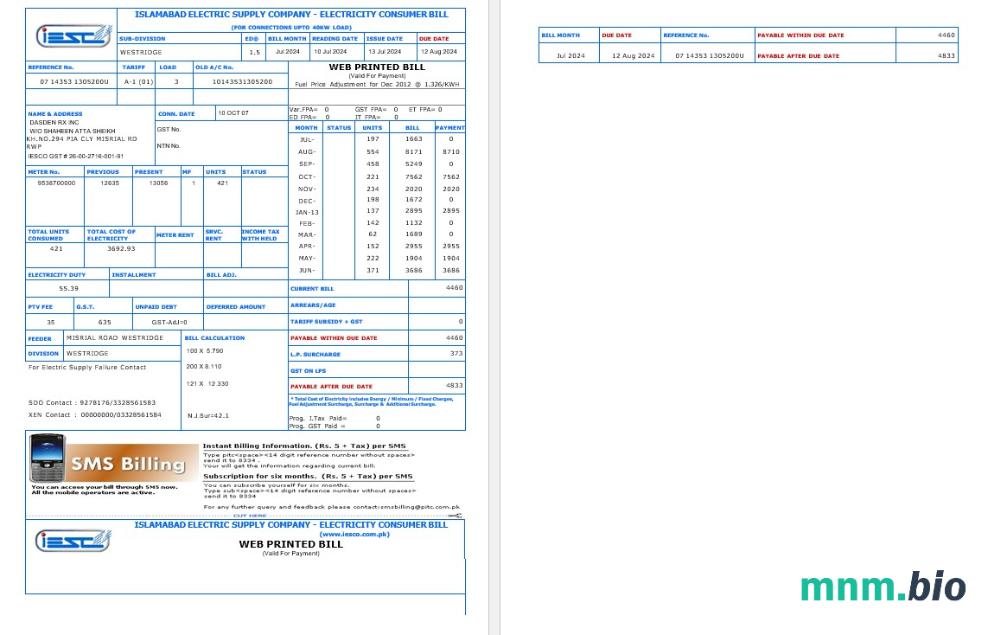 PAKISTAN IESC rachunek za usługi komunalne Word i szablon PDF